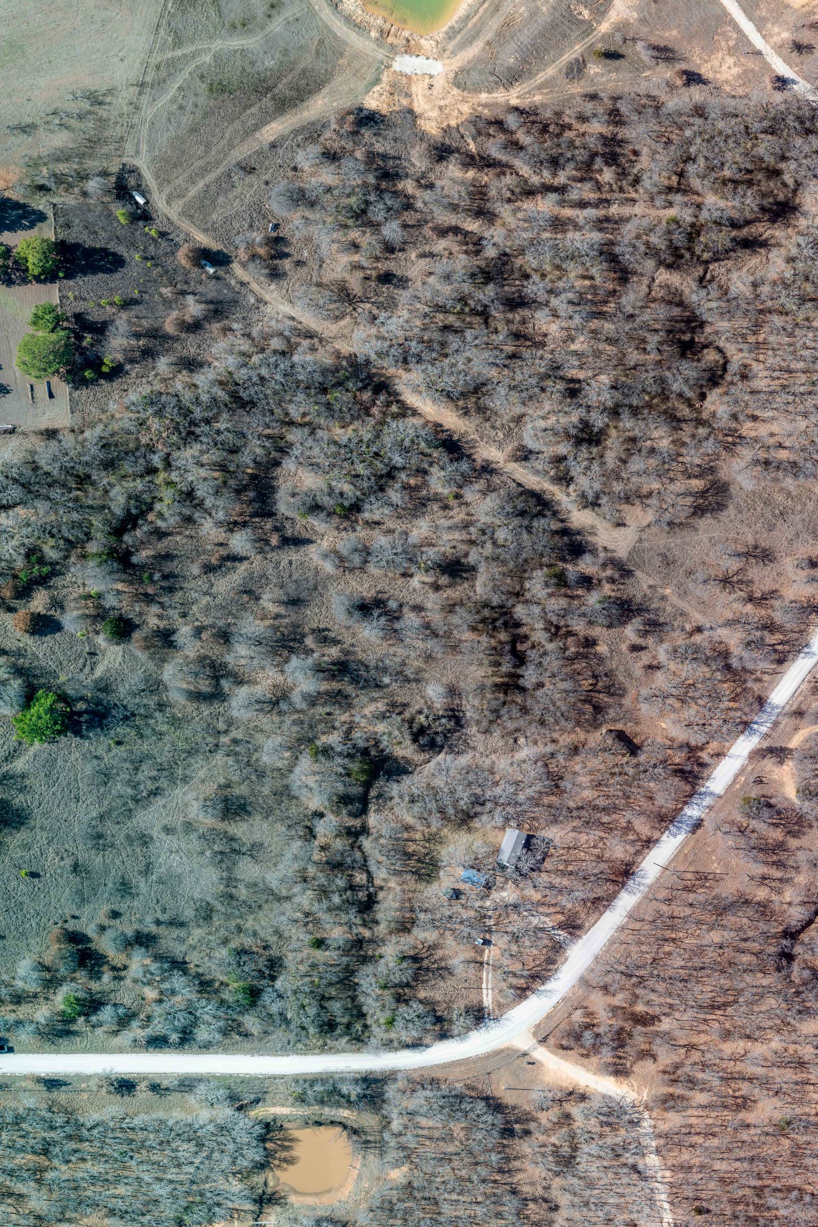 Aerial view of sparse, dry woodland intersected by light-colored roads, with a small structure and two ponds visible in the landscape.